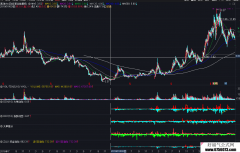 通达信两年资金统计数据，ddx,ddy,ddz,资金博弈显示和选股用的
