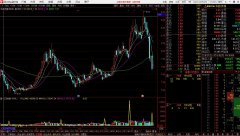 《成交量提早预警抓涨停》副图源码公开