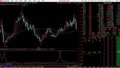可以排序的--均线粘合度指标【排序指标、源码、贴图】