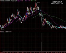 熊百组合副图与选股/真正的极品/百验百灵/源码分享
