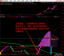 【通达信】看牛股妖股波段顶底副图指标/源码分享