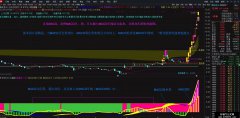 【通达信】寻龙MACD共振副图指标/MACD日周月/年线共振