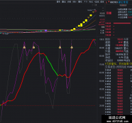 【通达信】反镜像WR指标升级版精准副图公式指标/可中线持股