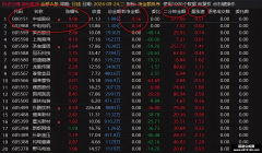 【通达信】净金额副图排序指标公式 一个竞价法宝