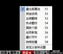 通达信一键导入助手软件