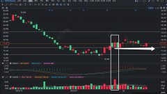 量学基础 倍量伸缩 主力控盘良好的表现