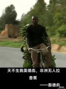 炒股到底能赚钱么